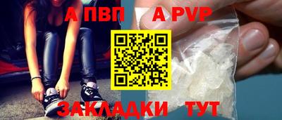 стафф Тверь