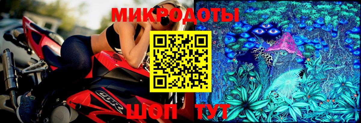 Нерюнгри  Псилоцибиновые грибы Psilocybe  Вход с VPN 