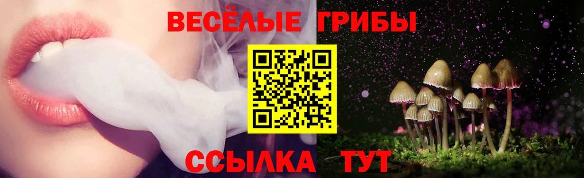 Псилоцибиновые грибы Magic Shrooms Нерюнгри